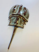 Load image into Gallery viewer, Horseshoe Crab Wall Decoration
